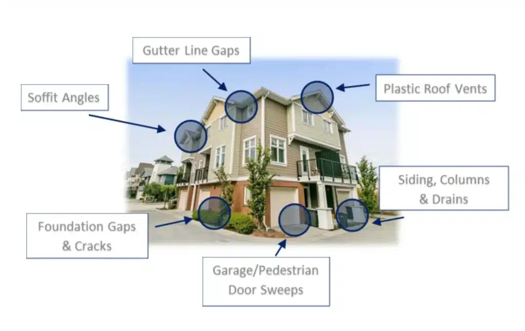 Infographic depicting typical pest proofing actions on a residential property, highlighting areas such as soffit angles, gutter line gaps, plastic roof vents, foundation gaps and cracks, siding, columns and drains, and garage/pedestrian door sweeps.