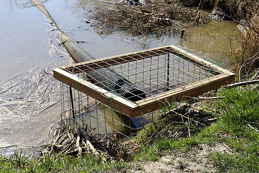 Beaver flow control device in a pond taken during beaver control work