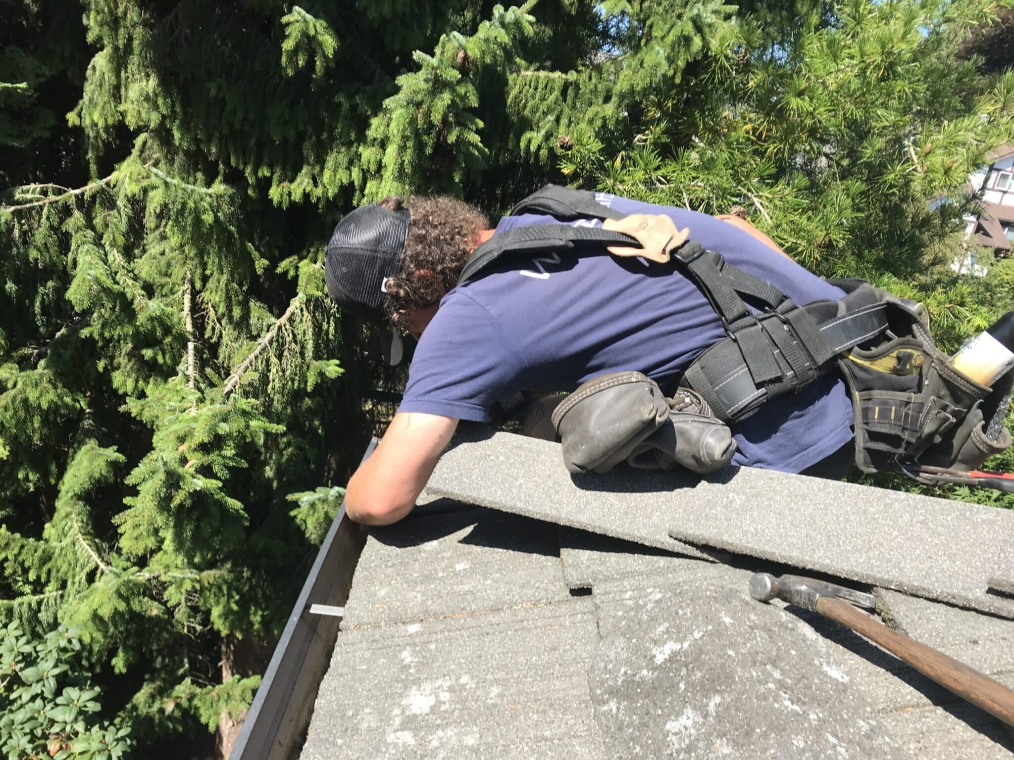 Technician inspecting and pest proofing a roof, part of Humane Solutions' comprehensive pest proofing services.