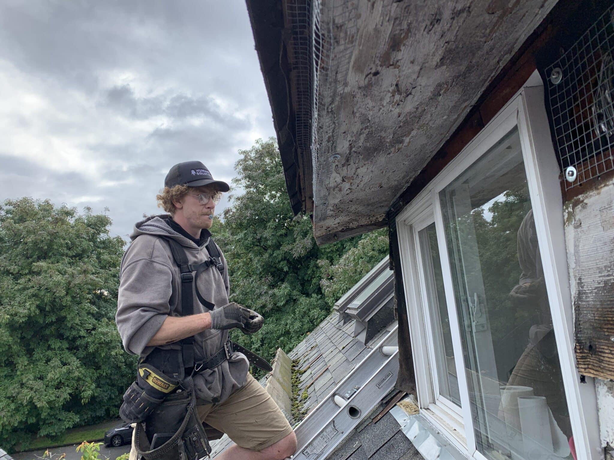 Technician pest proofing a customer's roof, ensuring all potential entry points are secured to prevent pest infestations.